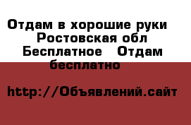 Отдам в хорошие руки  - Ростовская обл. Бесплатное » Отдам бесплатно   